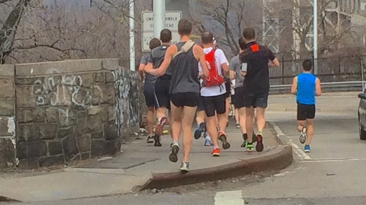 CAB178 - roadrunners