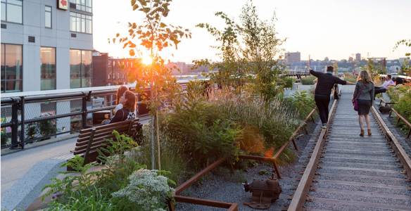 Screen Shot 2015-11-16 at 10.14.34 PM