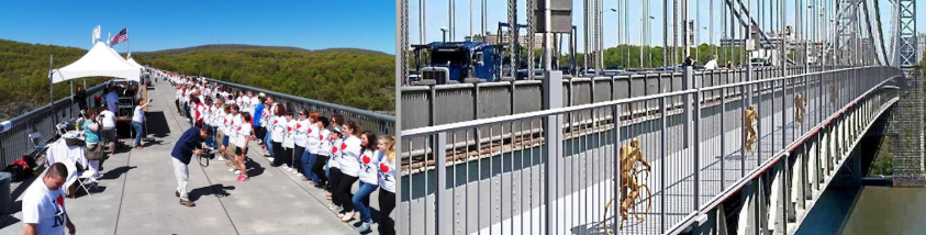 Screen Shot 2020-05-25 at 10.01.31 AM